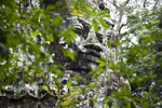 angkor_entrance_001