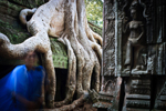 ta_prohm